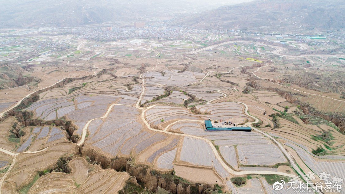 近期知乎推广便捷化搭建您的会议系统,让推广更智能更高效,赵丽颖杀青照嫩成这样