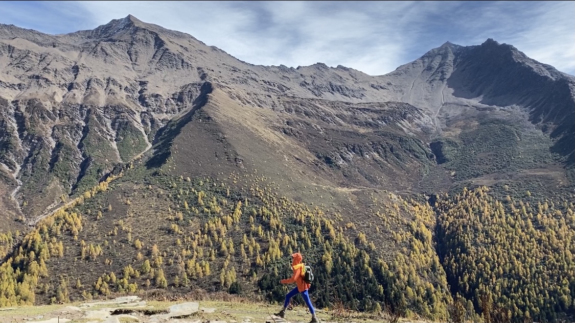 qq空间说说赞平台网站